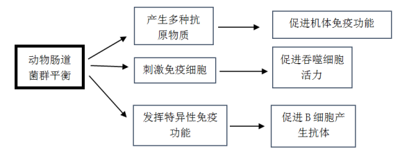 20200505114928_24705