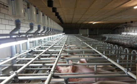 20200831200852_95814