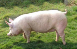 20200831202045_38061