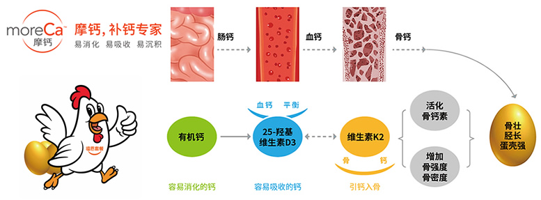 微信图片_20210311175419