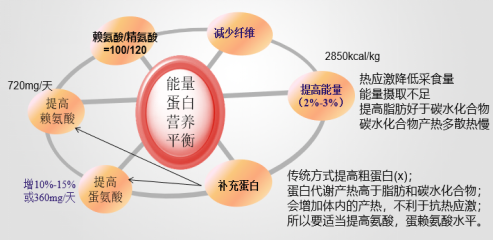 20210701015042_86954