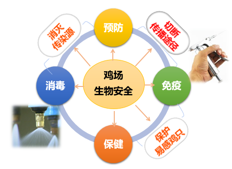 20220103015649_69526