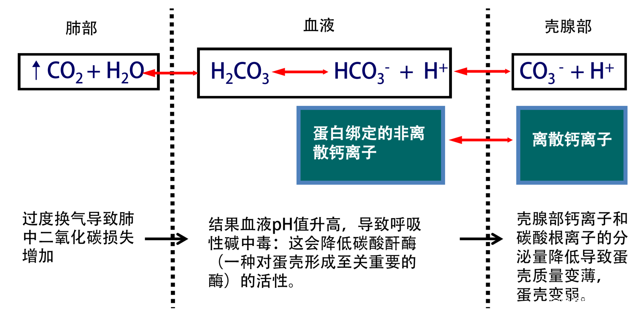 20220601163200_96303