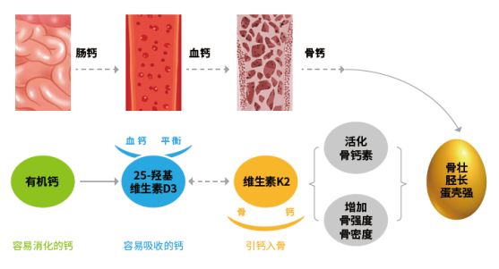 20220701111637_30133