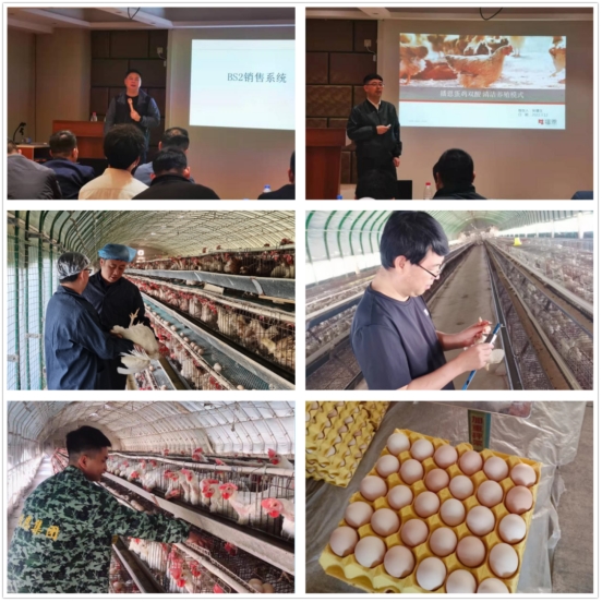 20220701111946_15250