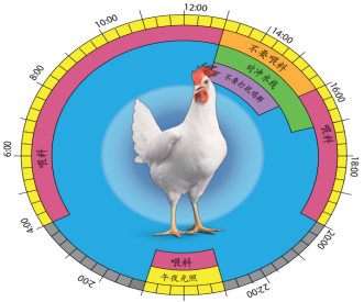 ca88手机客户端(安卓/苹果)CA88会员登录入口