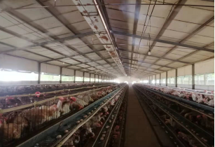 20220701112842_95855