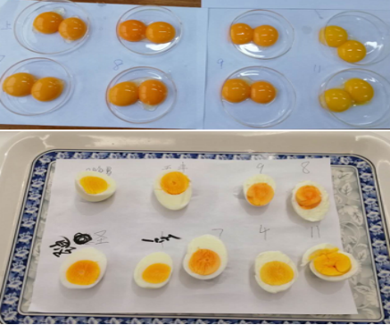 ca88手机客户端(安卓/苹果)CA88会员登录入口