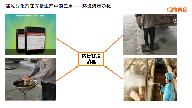 20220803004305_57778