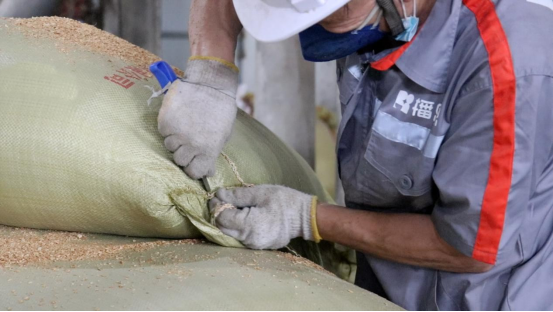 20220822173221_86267