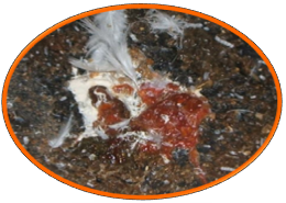 20220902163307_91818