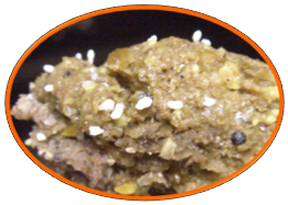 20220902163344_22860