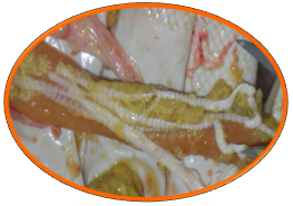 20220902163353_89122