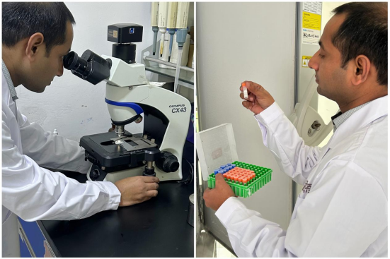 20231031163545_57994