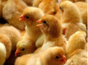 20231202113155_74176