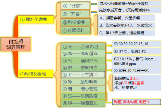 20231202113243_85371