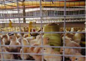 20240301173228_77962