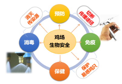 20240301173340_36689