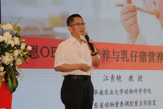 20240426195807_43320