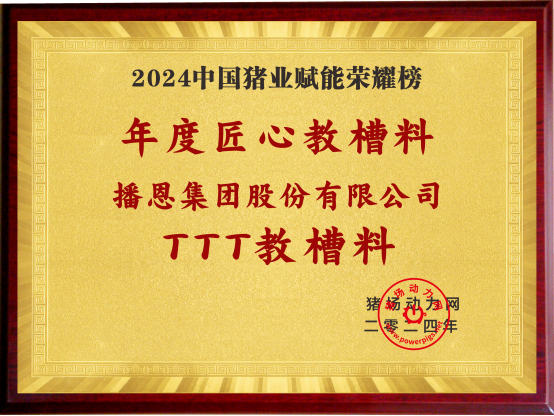 20241130184958_32288