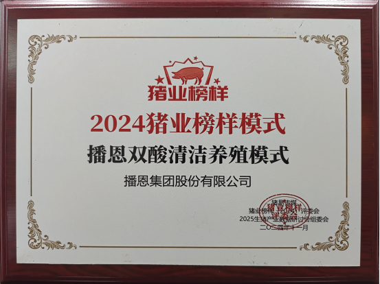 20241231113226_73771