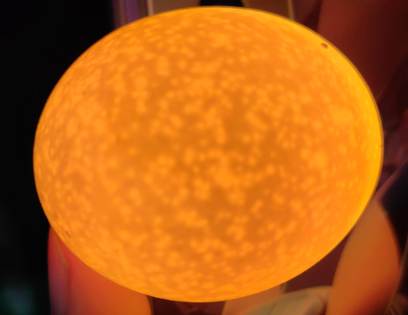 20250301144148_26603