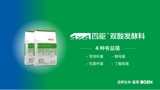 20250430194246_32085