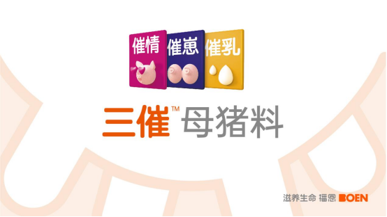 20250801093616_75015