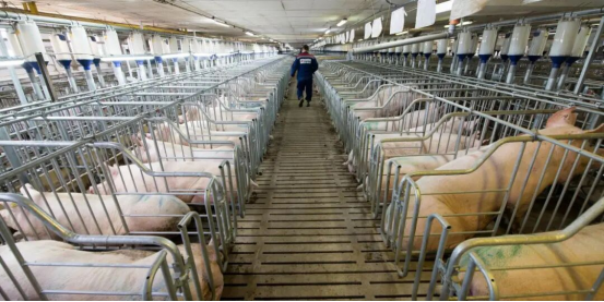 20251001174040_99004