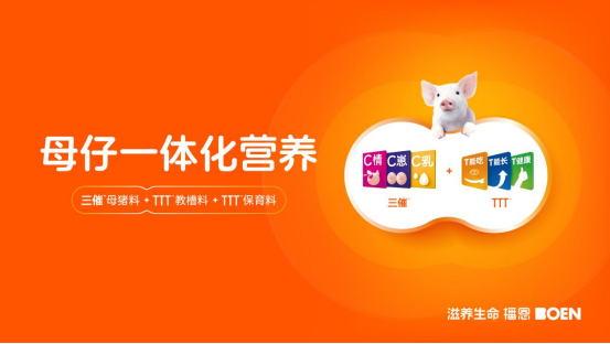 20251231190920_29881