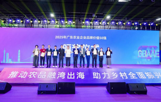 20251231191310_66223