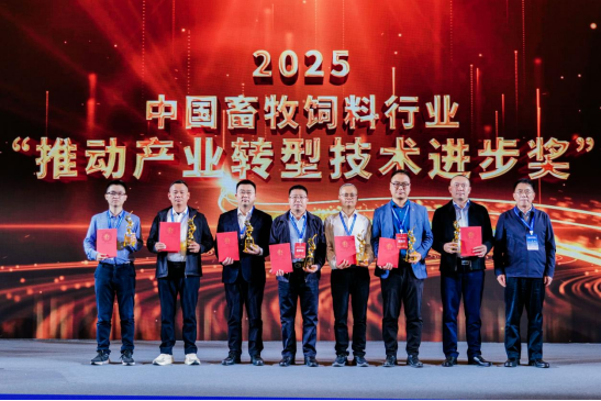 20251231192616_40608