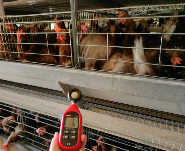 20260204153131_12625